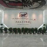 更改名字2275头像