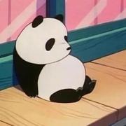 带帽的仙人球的个人资料头像