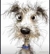 江城老司机的个人资料头像