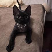 Jacque_line的个人资料头像