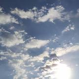 王立祥845头像