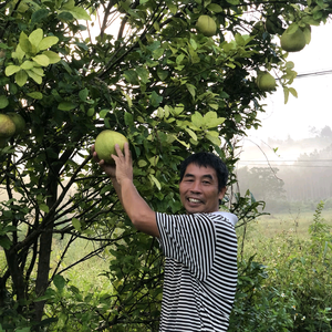 小张爸爸（张爸爸）头像