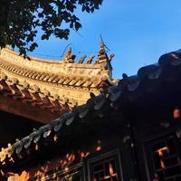 AD19880113头像