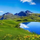 梦想追寻者386头像