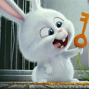 zero007的个人资料头像