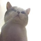 dddddd0w5P头像