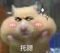 铁骨铮铮王境泽头像