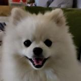 陈八万万万头像