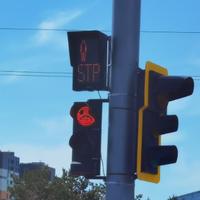 BMW马斯特尔头像