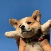 你我山巅自相逢001的个人资料头像