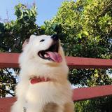 哟哟哟Lucky🤣头像