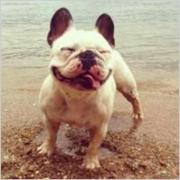 geraldchen的个人资料头像