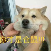 用户6812848463411的个人资料头像