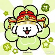 用户5817704343323的个人资料头像