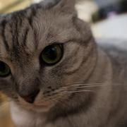 good学习的个人资料头像