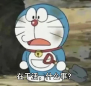 ZJH的个人资料头像