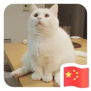 asdT的个人资料头像