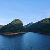 薄荷红茶洛瑞头像