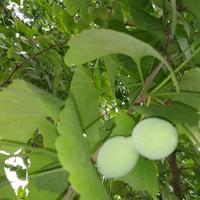 武江1987🐇头像