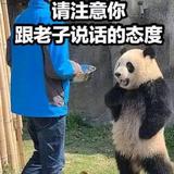 刘德华会飞头像