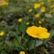 Itwillbesunny的个人资料头像