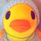 琼楼玉宇的个人资料头像