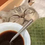 吴道长的个人资料头像