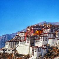 彬搞笑视频我是认真的头像