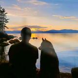 A如果梦醒了头像