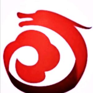 云龙视界头像