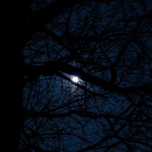 M夜太长头像