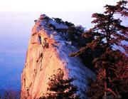 无瑕羽月的个人资料头像