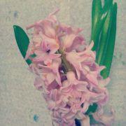 刘金龙Tyrion的个人资料头像