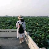 悠然心35头像