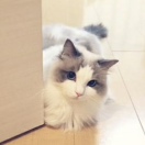 今天怎么不开心的个人资料头像