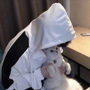 进击的程序员428的个人资料头像