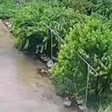 椒图666头像