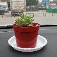 雪飘满天AAAA头像