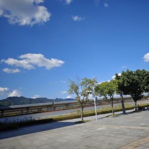 Bun 卖身 Anthropic！尤雨溪神吐槽：OpenAI 你需要工具链吗？