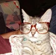 9DDv的个人资料头像