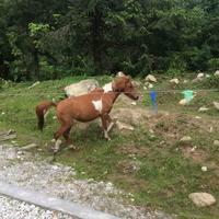 无名者8888888888888头像