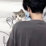 夜雨江南的个人资料头像