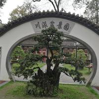 二木成林988头像