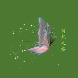 正能量风筝r头像