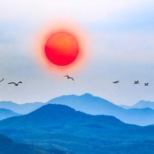 弘阳文化头像