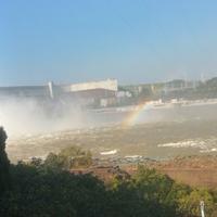 心向远方sunny头像