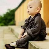 谢工素茶凉音き头像