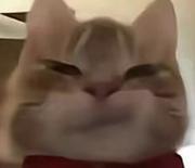 老子心情不佳的个人资料头像