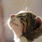 CodeXCode41849的个人资料头像