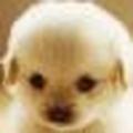 疯癫又如何87333256头像